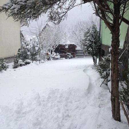 Pensiunea Panorama Baile Tusnad Bagian luar foto