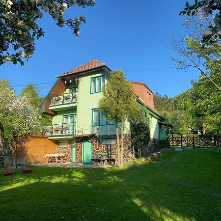Pensiunea Panorama Baile Tusnad Bagian luar foto