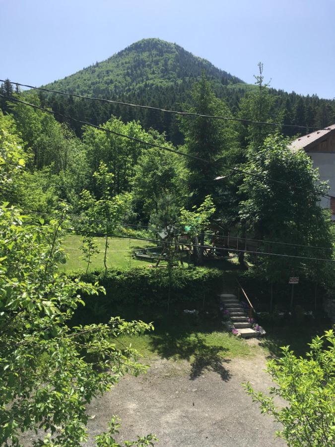 Pensiunea Panorama Baile Tusnad Bagian luar foto