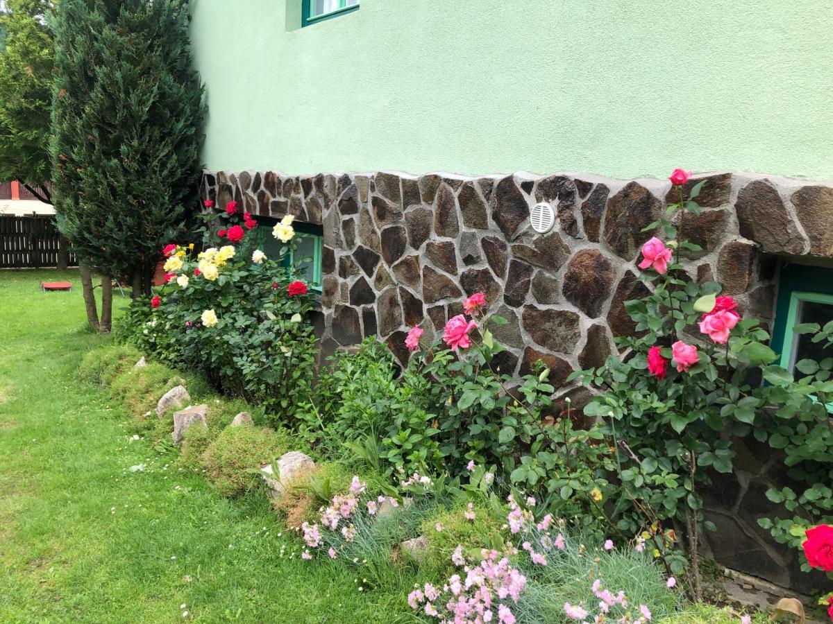 Pensiunea Panorama Baile Tusnad Bagian luar foto
