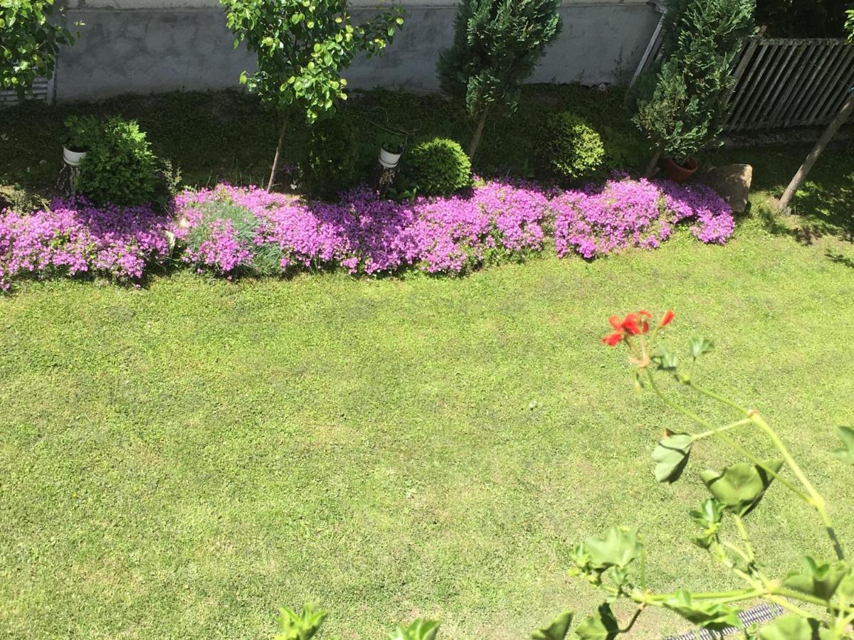 Pensiunea Panorama Baile Tusnad Bagian luar foto